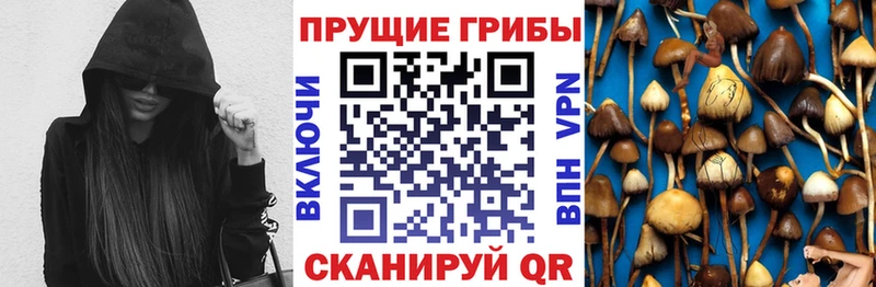Псилоцибиновые грибы MAGIC MUSHROOMS  цена наркотик  Ворсма 